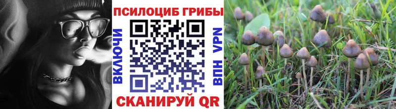 кракен сайт  Арск  Галлюциногенные грибы Magic Shrooms  купить наркотик 